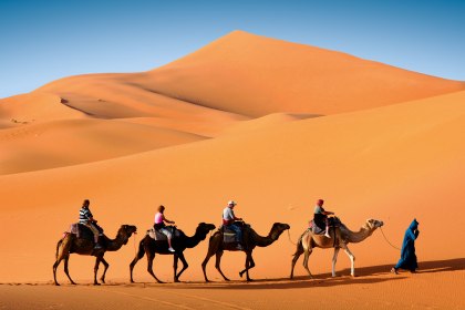 Sahara, © Vladimir Wrangel - Fotolia.com