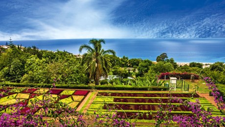 Botanischer Garten in Funchal, Madeira, Portugal, © Vlada Z – stock.adobe.com