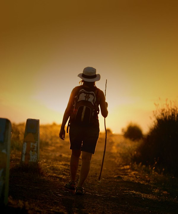 buen-camino_turismo-de-santiago_wwwsantiagoturismocom_cmyk_8bit_300dpi_verlauf-2_iso-300