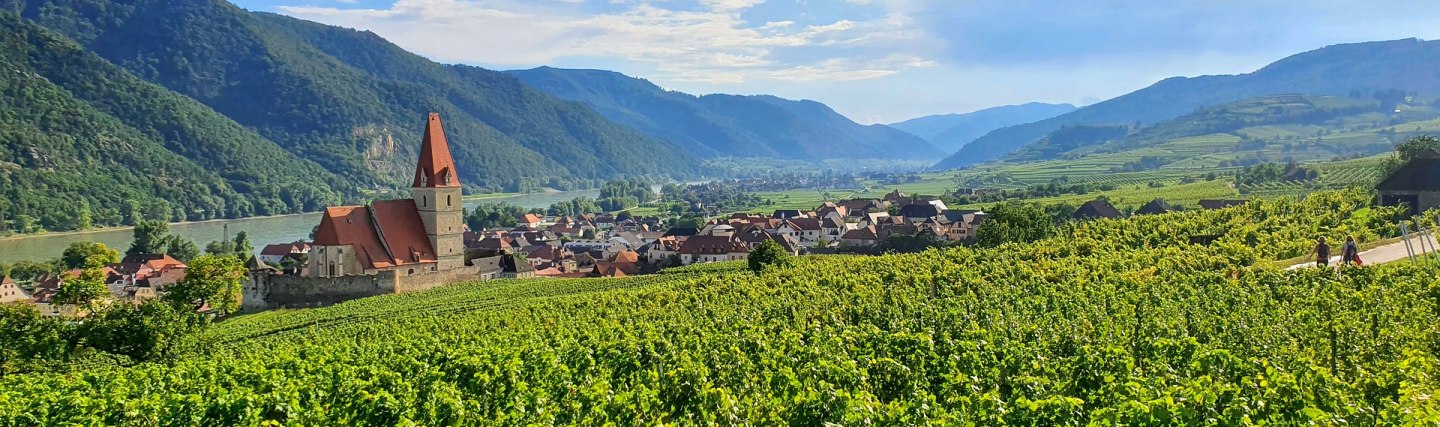 Wachau Weinberge Kirche, © Pixabay Tumisu