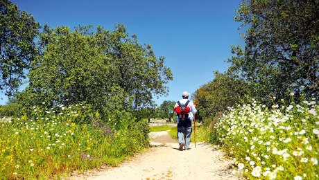 Auf einem der Wanderpfade der Via de la Plata, Spanien, © joserpizarro - Fotolia.com