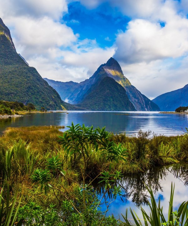 Milford Sound, Neuseeland, © Adobe-Stock Avraham Kushinirov