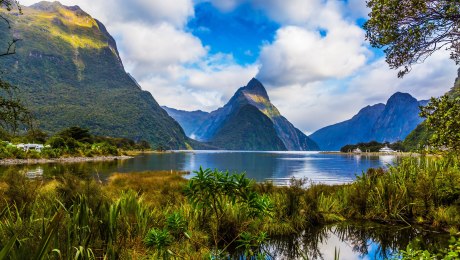 Milford Sound, Neuseeland, © Adobe-Stock Avraham Kushinirov