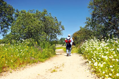 Auf einem der Wanderpfade der Via de la Plata, Spanien, © joserpizarro - Fotolia.com